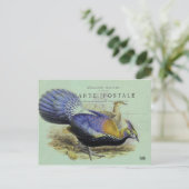 Postale Carte oiseau violet (Debout devant)