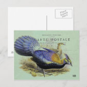 Postale Carte oiseau violet (Devant / Derrière)