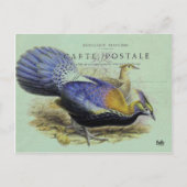 Postale Carte oiseau violet (Devant)