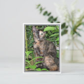Postale Carte Panier (Debout devant)
