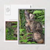 Postale Carte Panier (Devant / Derrière)