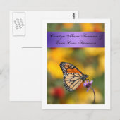 Postale Carte papillon Monarch (Devant / Derrière)