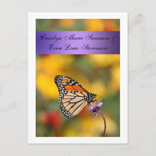 Postale Carte papillon Monarch (Devant)
