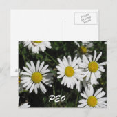 Postale Carte PEO (Devant / Derrière)