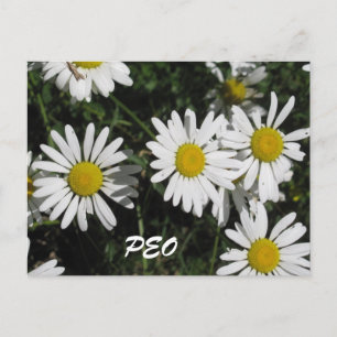 Postale Carte PEO