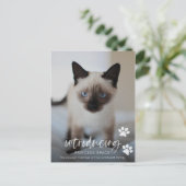 Postale Carte photo d'adoption de chats ou de chats, prése (Debout devant)