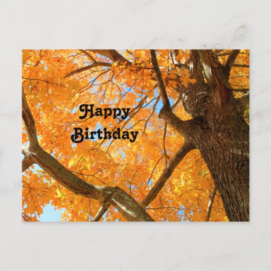 Postale Carte Photo d'anniversaire d'Érable Jaune d'Automn (Devant)