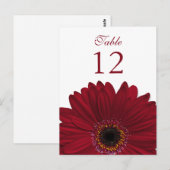Postale Carte Plat rouge profonde Gerbera Daisy Numéro de  (Devant / Derrière)