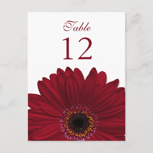Postale Carte Plat rouge profonde Gerbera Daisy Numéro de  (Devant)