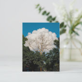 Postale Carte plate de l'arbre de nuage (Debout devant)