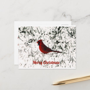 Postale Carte plate de Noël Joyeux Cardinal