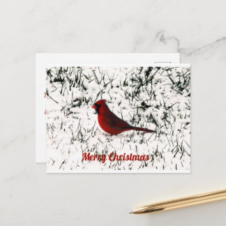 Postale Carte plate de Noël Joyeux Cardinal