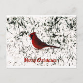 Postale Carte plate de Noël Joyeux Cardinal (Devant)