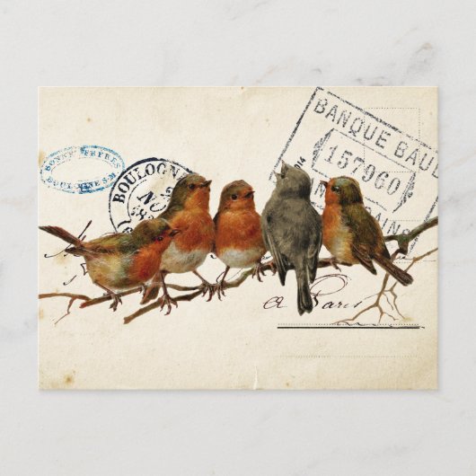 Postale Carte Poids D'Oiseaux Postaux 3 de 4 (Robins Europ (Devant)