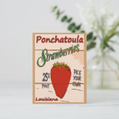 Postale Carte Ponchatoula Strawberries (Debout devant)