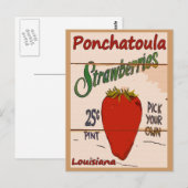 Postale Carte Ponchatoula Strawberries (Devant / Derrière)
