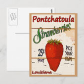 Postale Carte Ponchatoula Strawberries (Devant / Derrière)