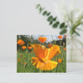 Postale Carte Poppy Notes (Debout devant)