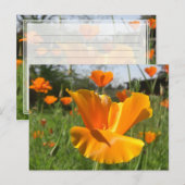 Postale Carte Poppy Notes (Devant / Derrière)