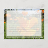 Postale Carte Poppy Notes (Dos)