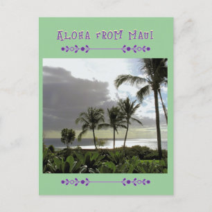 Postale CARTE POST "ALOHA from MAUI" Palm Trees