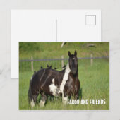 POSTALE CARTE POST HORSE (Devant / Derrière)