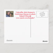 Postale CARTE POST Kansas Caterpillar closeuse (Dos)