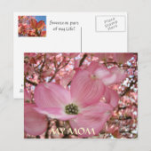 Postale CARTE POST Ma maman Vie la plus douce FLEURS DE DO (Devant / Derrière)