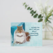 POSTALE CARTE POST - PUBLICITÉ - SQUIRREL CUTE (Debout devant)