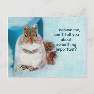 POSTALE CARTE POST - PUBLICITÉ - SQUIRREL CUTE