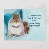 POSTALE CARTE POST - PUBLICITÉ - SQUIRREL CUTE (Devant)
