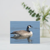 Postale Carte postale1 (Debout devant)