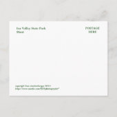 POSTALE CARTE POSTALE, AIO NEEDLE (MAU)I ENSHROUES DANS LE (Dos)