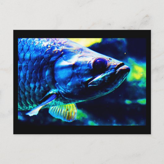 Postale Carte postale-Animaux-19 (Devant)