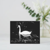 Postale Carte postale-Animaux-23 (Debout devant)