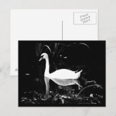 Postale Carte postale-Animaux-23 (Devant / Derrière)