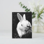 Postale Carte postale-Animaux-26 (Debout devant)