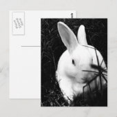 Postale Carte postale-Animaux-26 (Devant / Derrière)