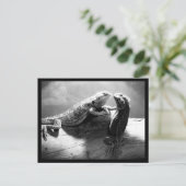 Postale Carte postale-Animaux-33 (Debout devant)