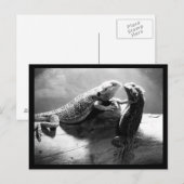 Postale Carte postale-Animaux-33 (Devant / Derrière)