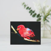 Postale Carte postale-Animaux-35 (Debout devant)