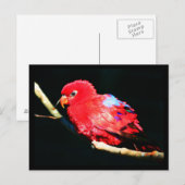 Postale Carte postale-Animaux-35 (Devant / Derrière)