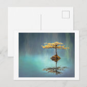 POSTALE CARTE POSTALE: ARBRE SUR UNE ÎLE (Devant / Derrière)