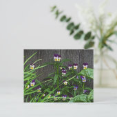 Postale carte postale, "ASSEZ PETITS VIOLAS" (Debout devant)