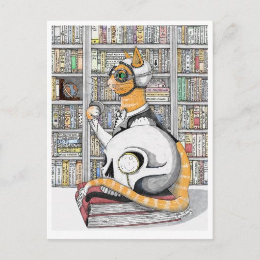 Postale Carte postale: Aviation pour chats (Devant)