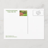 POSTALE CARTE POSTALE, "AZALEAS ET GAZEBO, TOLEDO BOTANICA (Dos)