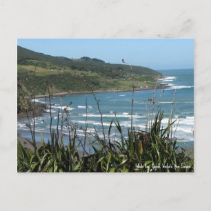 Postale Carte postale, baie de la Baleine, Raglan, Nouvell