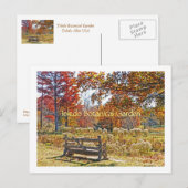 Postale carte postale/BANC RUSTIQUE AU MILIEU DE LA COULEU (Devant / Derrière)