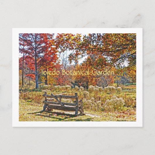 Postale carte postale/BANC RUSTIQUE AU MILIEU DE LA COULEU (Devant)