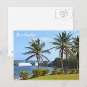 Postale Carte postale, Barbade, Scène de plage, Palmiers (Devant / Derrière)